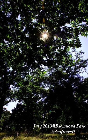 DSC_6005 DSC_6005