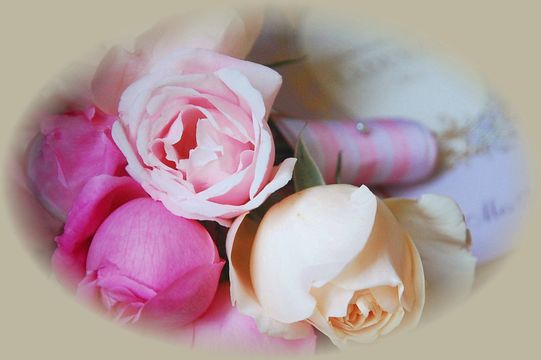 DSC_6112 DSC_6112