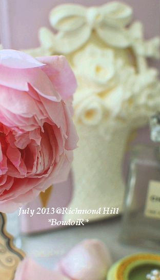 DSC_6393 DSC_6393