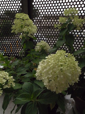 R0037741 R0037741