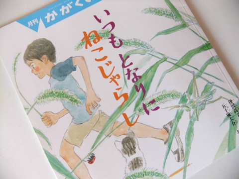 五十嵐大介の新刊『いつもとなりにねこじゃらし』