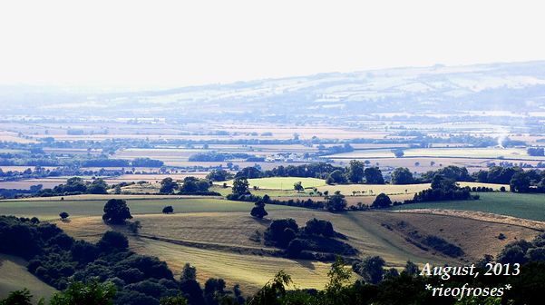 DSC_6908 DSC_6908