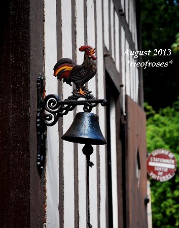 DSC_7329 DSC_7329