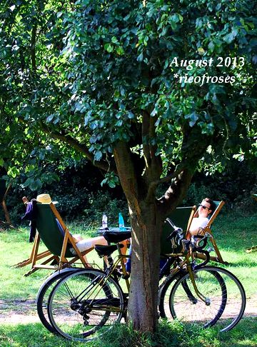 DSC_7742 DSC_7742