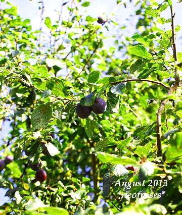 DSC_7743 DSC_7743