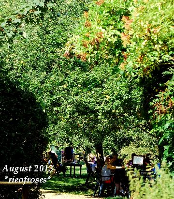 DSC_7754 DSC_7754