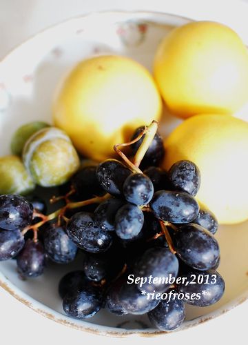 DSC_7855 DSC_7855