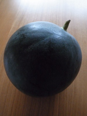 R0037794