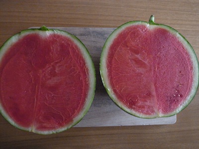 R0037796