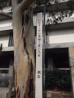 R0037851 R0037851