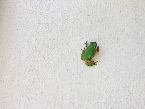 写真 2