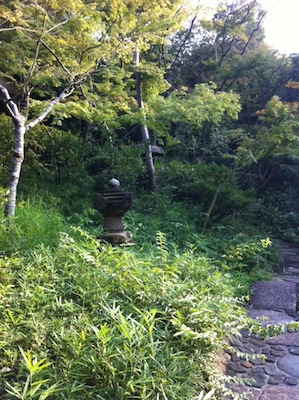 写真 4 写真 4