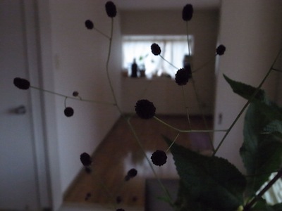 R0038355