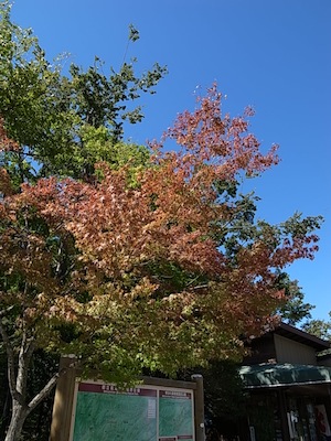 R0038479