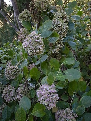 R0038489