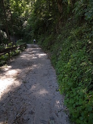 R0038503