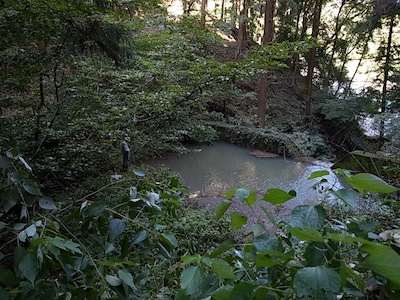 R0038507