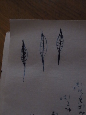 R0038728 R0038728