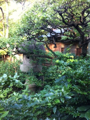 写真 2 写真 2