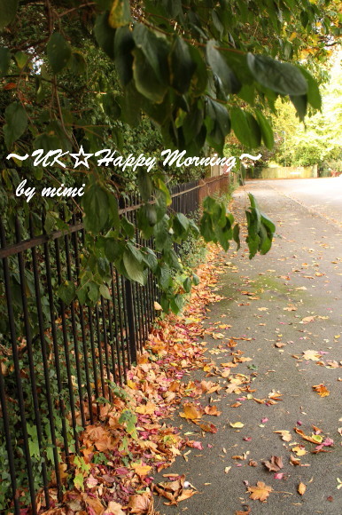 2013-10-11-1 2013-10-11-1