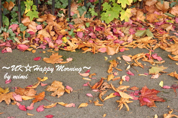 2013-10-11-2 2013-10-11-2