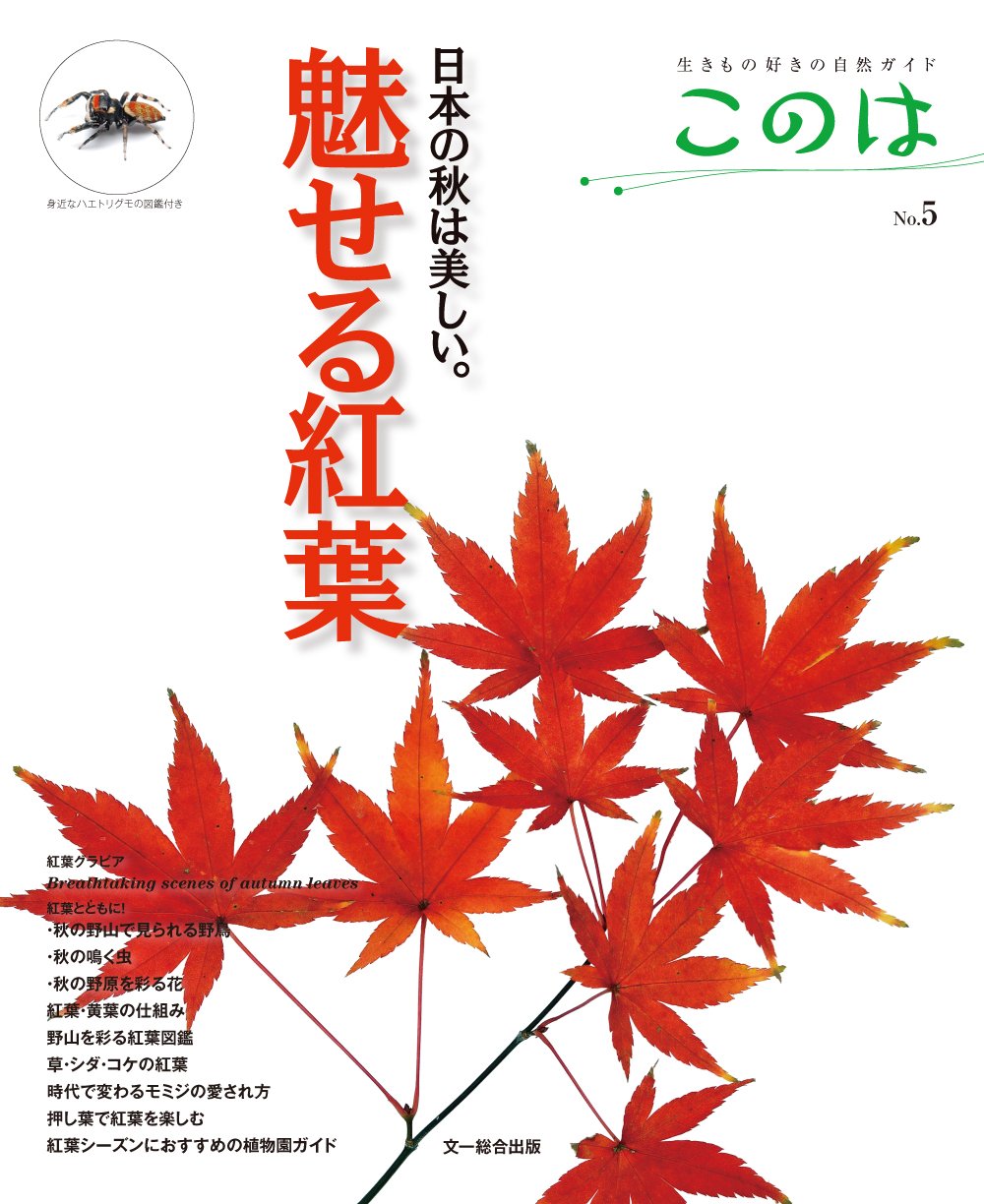 紅葉シーズンにオススメの一冊！『魅せる紅葉』