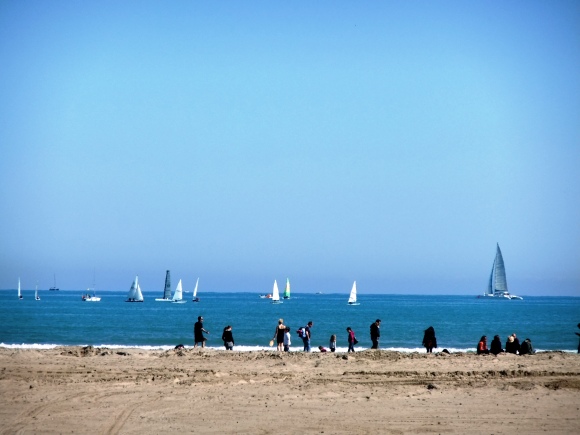 DSCF6019