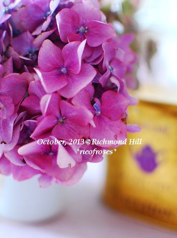 DSC_9120 DSC_9120