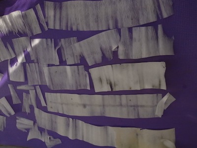 R0038809