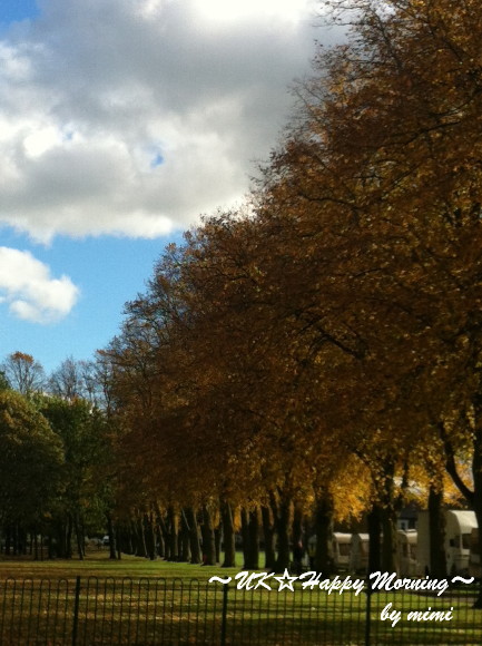 2013-11-05