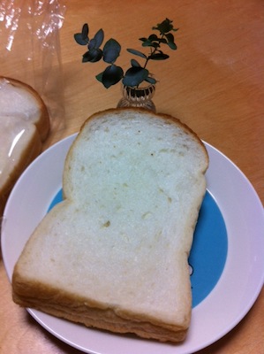写真 1 写真 1