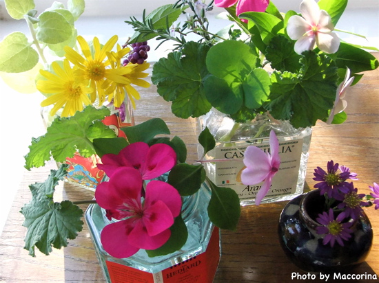 私も朝摘んだ庭の花を空き瓶に生けています。