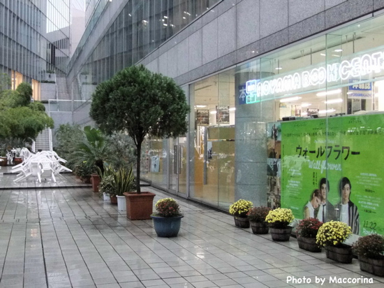 BONBON124 突然の雨。書店でゆっくり過ごしました。