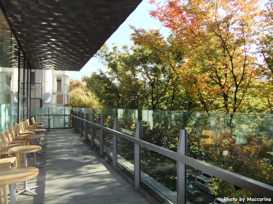 3Fのカフェのテラスから。