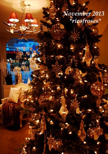 DSC_9198 DSC_9198