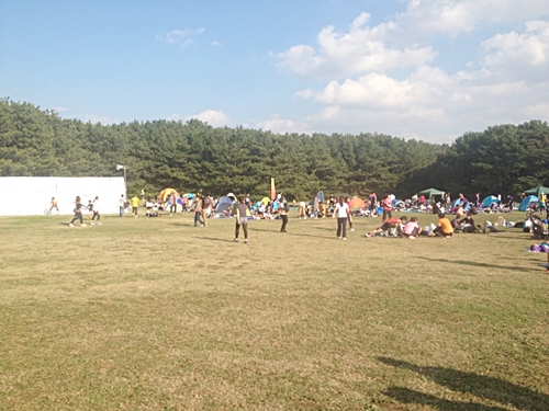 unnamed-2 稲毛海岸の海浜公園。晴れてていい天気!学生の頃は良く遊びにきたな~。