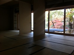 写真 写真