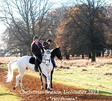 DSC_0210 DSC_0210