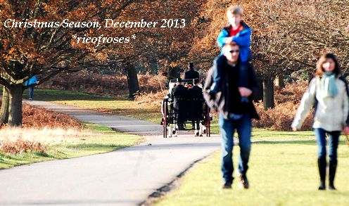 DSC_0215 DSC_0215