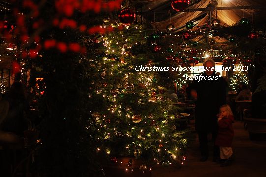 DSC_0236 DSC_0236