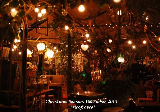 DSC_0237 DSC_0237