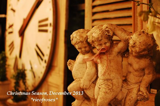DSC_0259 DSC_0259