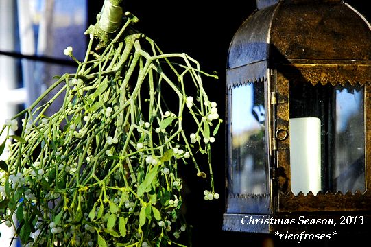 DSC_0536 DSC_0536