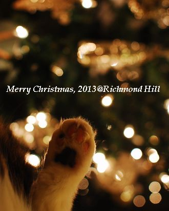 DSC_0666 DSC_0666