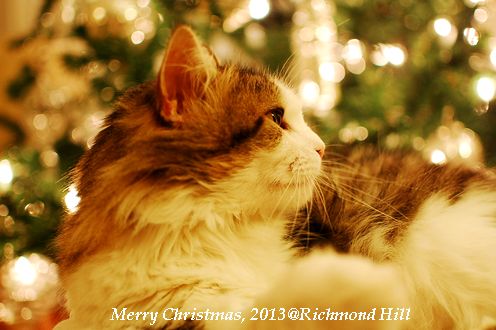 DSC_0670 DSC_0670