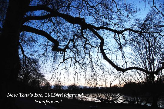 DSC_0910 DSC_0910