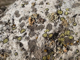 R0029470 R0029470