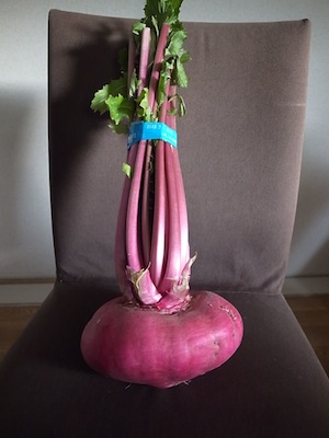 R0039331