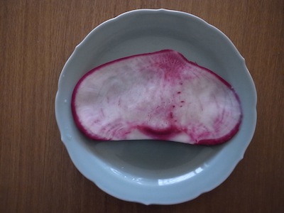 R0039336