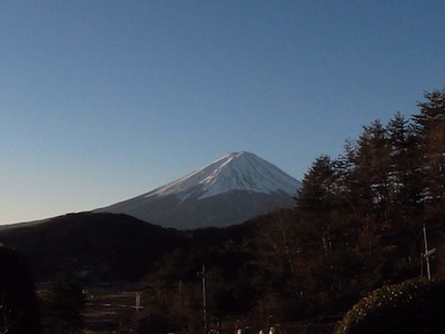 R0039524 R0039524